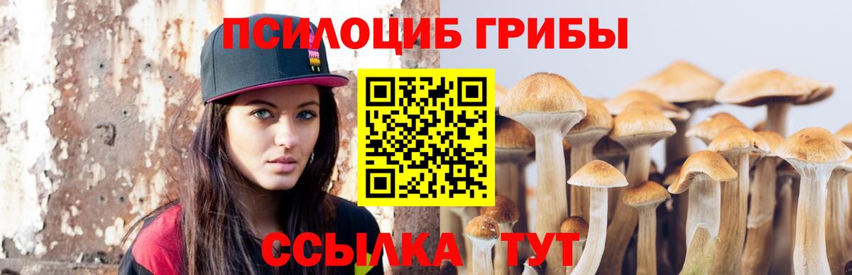 Псилоцибиновые грибы GOLDEN TEACHER  Псилоцибиновые грибы MAGIC MUSHROOMS  Вход с VPN  Троицк 